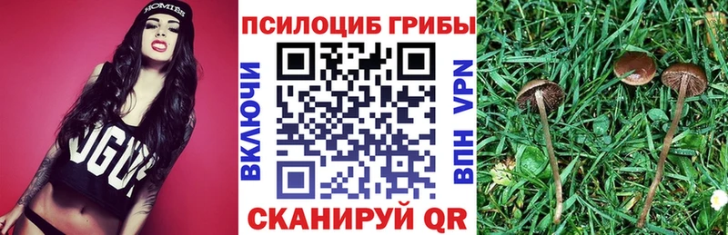 Галлюциногенные грибы GOLDEN TEACHER  Лянтор 