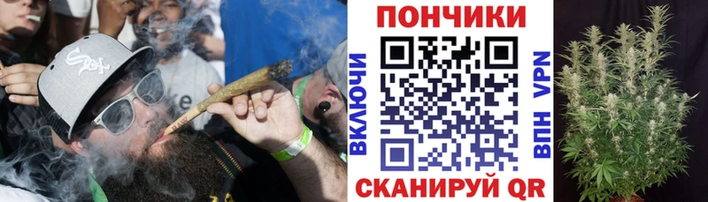 мега зеркало  Лянтор  сайты даркнета формула  где купить наркоту  Бошки Шишки ГИДРОПОН 